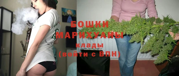 PSILOCYBIN Карталы