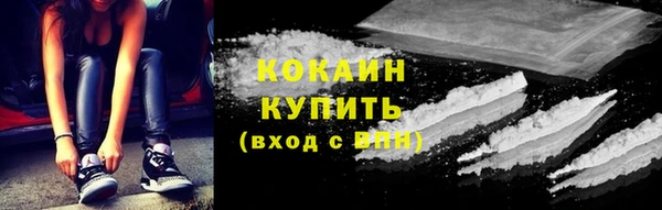 PSILOCYBIN Карталы