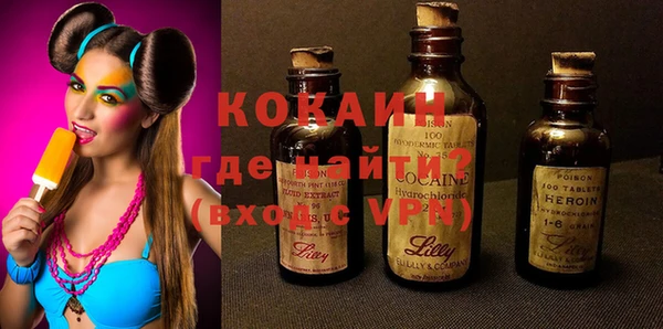 PSILOCYBIN Карталы