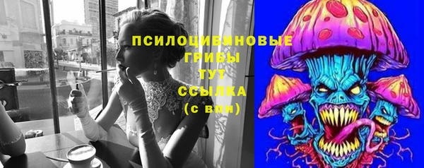 PSILOCYBIN Карталы