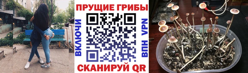 Купить закладки  Белорецк  Галлюциногенные грибы MAGIC MUSHROOMS 