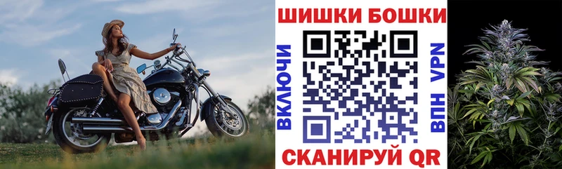 Конопля OG Kush  Купить закладки  Белорецк 